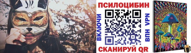Псилоцибиновые грибы Psilocybe  купить  сайты  Сухой Лог 